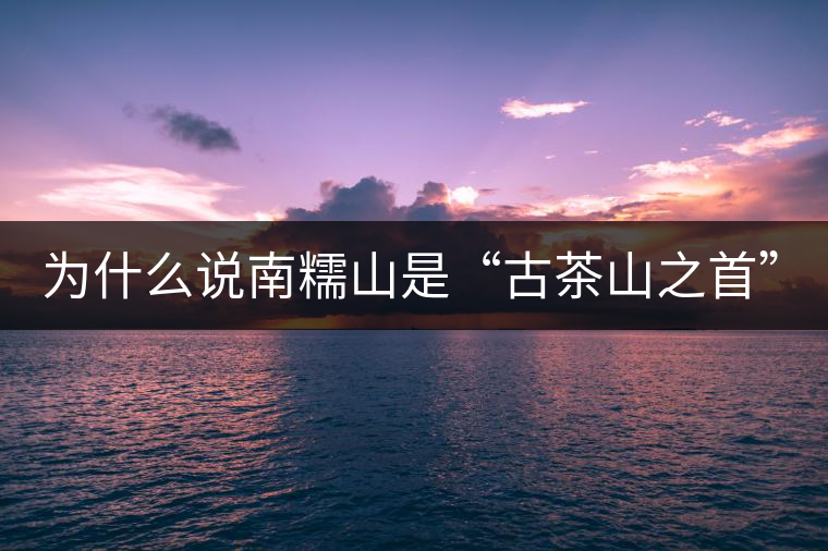 為什么說(shuō)南糯山是“古茶山之首”？