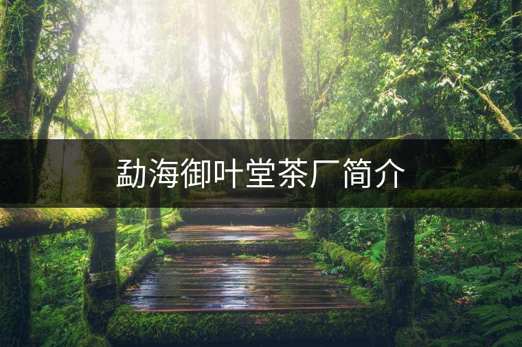 勐海御葉堂茶廠(chǎng)簡(jiǎn)介 勐海御葉堂茶廠(chǎng)簡(jiǎn)介