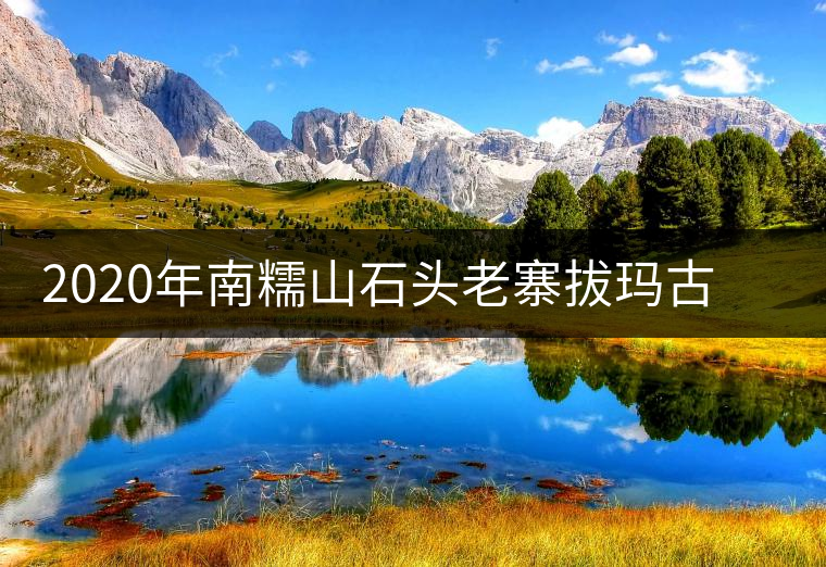 2020年南糯山石頭老寨拔瑪古樹:醇柔之質(zhì),綿遠(yuǎn)之韻-易武中聘號(hào) 2020年南糯山石頭老寨拔瑪古樹:醇柔之質(zhì),綿遠(yuǎn)之韻-易武中聘號(hào)