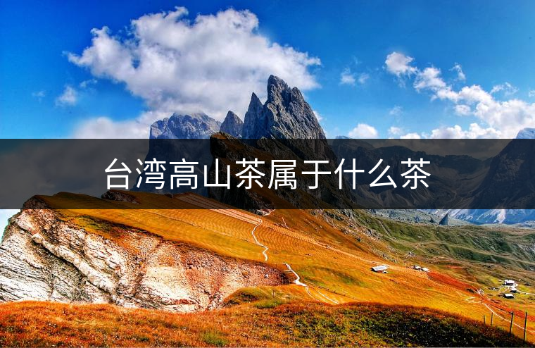 臺灣高山茶屬于什么茶 臺灣高山茶屬于什么茶