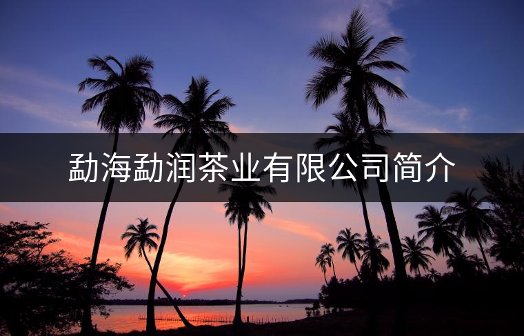 勐海勐潤茶業(yè)有限公司簡介