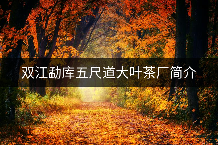 雙江勐庫(kù)五尺道大葉茶廠簡(jiǎn)介 雙江勐庫(kù)五尺道大葉茶廠簡(jiǎn)介