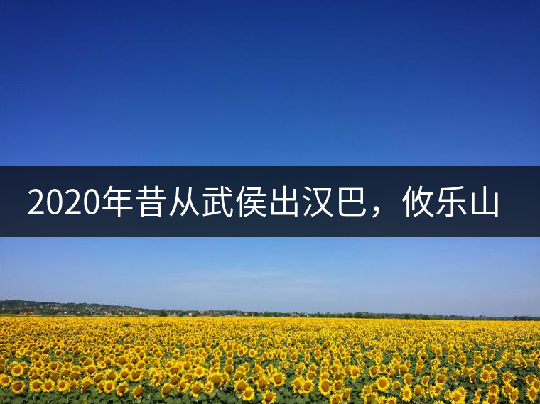 2020年昔從武侯出漢巴，攸樂山中只種茶。-易武中聘號