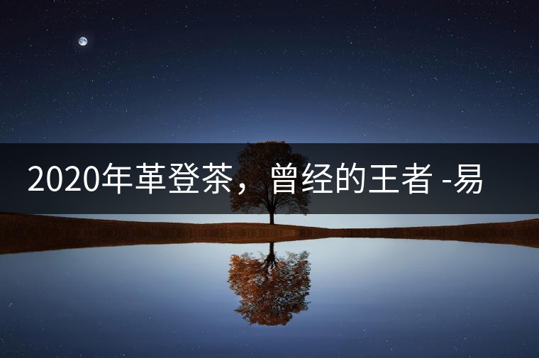 2020年革登茶，曾經(jīng)的王者 -易武中聘號(hào)