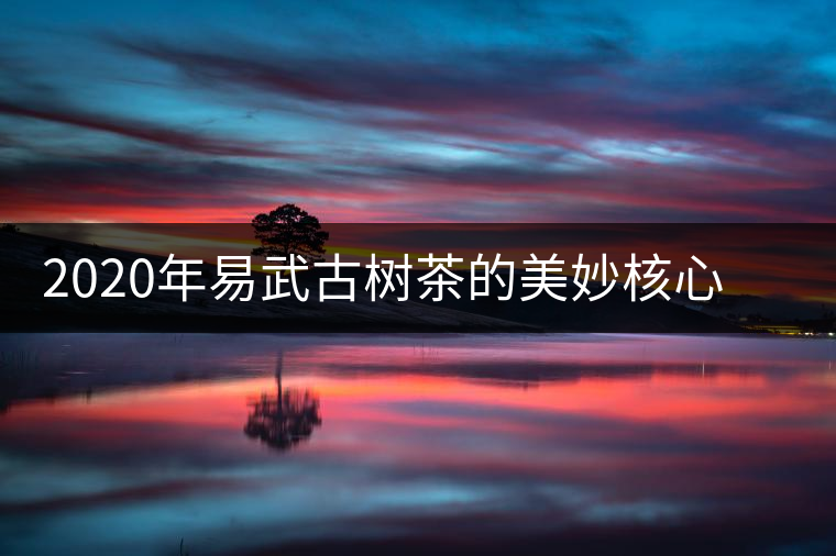 2020年易武古樹(shù)茶的美妙核心 -易武中聘號(hào) 2020年易武古樹(shù)茶的美妙核心 -易武中聘號(hào)