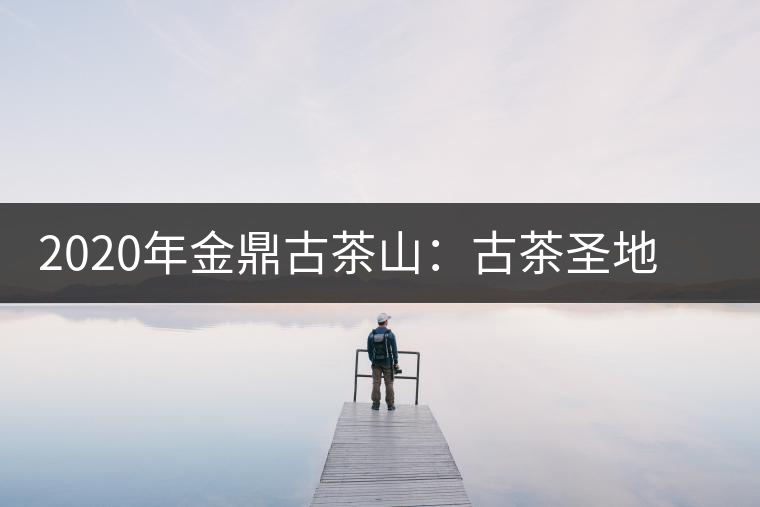 2020年金鼎古茶山：古茶圣地 探險(xiǎn)樂園-易武中聘號(hào)