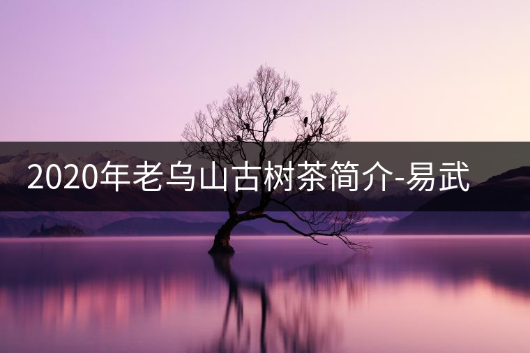 2020年老烏山古樹(shù)茶簡(jiǎn)介-易武中聘號(hào)