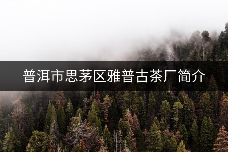 普洱市思茅區(qū)雅普古茶廠簡介