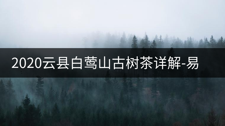 2020云縣白鶯山古樹(shù)茶詳解-易武中聘號(hào) 2020云縣白鶯山古樹(shù)茶詳解-易武中聘號(hào)