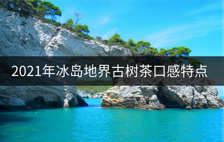 2021年冰島地界古樹茶口感特點(diǎn)是什么？