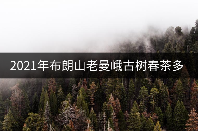 2021年布朗山老曼峨古樹春茶多少錢一公斤？