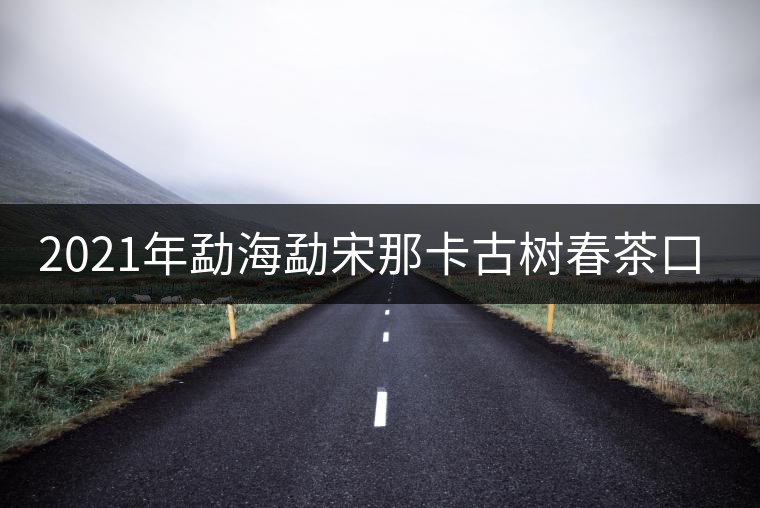 2021年勐海勐宋那卡古樹春茶口感？
