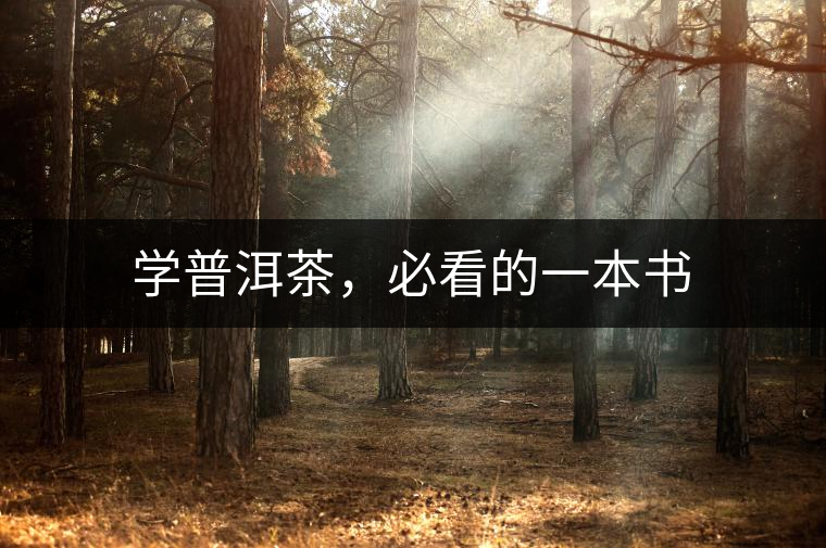 學普洱茶，必看的一本書