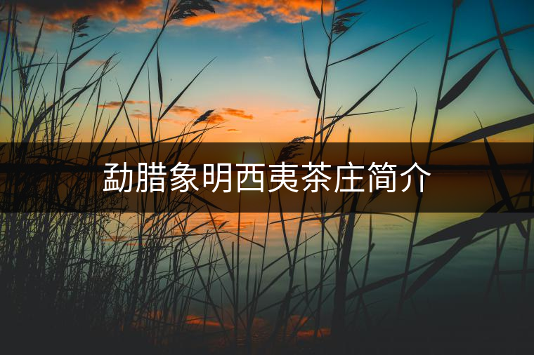 勐臘象明西夷茶莊簡(jiǎn)介