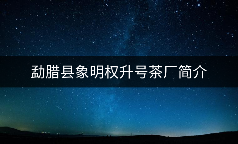 勐臘縣象明權(quán)升號(hào)茶廠(chǎng)簡(jiǎn)介
