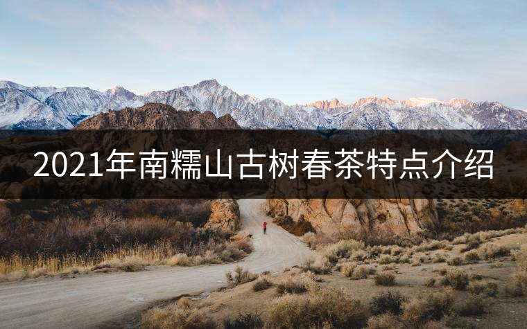 2021年南糯山古樹春茶特點介紹 2021年南糯山古樹春茶特點介紹