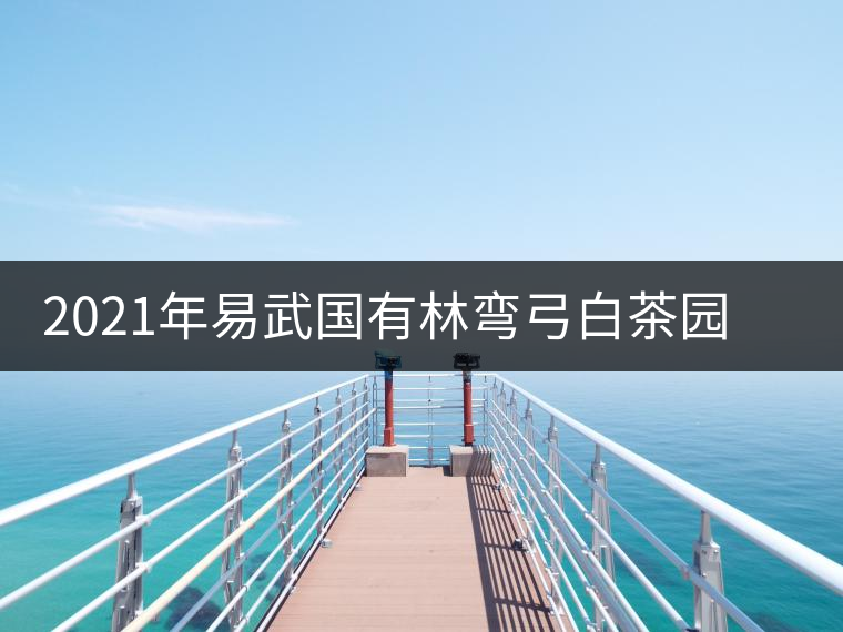 2021年易武國(guó)有林彎弓白茶園古樹春茶口感特點(diǎn)