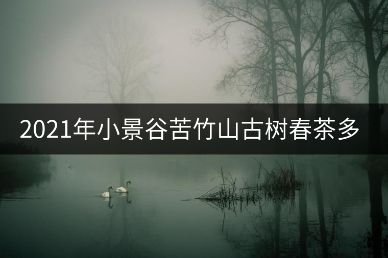 2021年小景谷苦竹山古樹(shù)春茶多少錢(qián)一公斤？