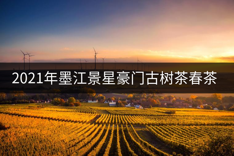 2021年墨江景星豪門古樹茶春茶價(jià)格多少錢一斤？