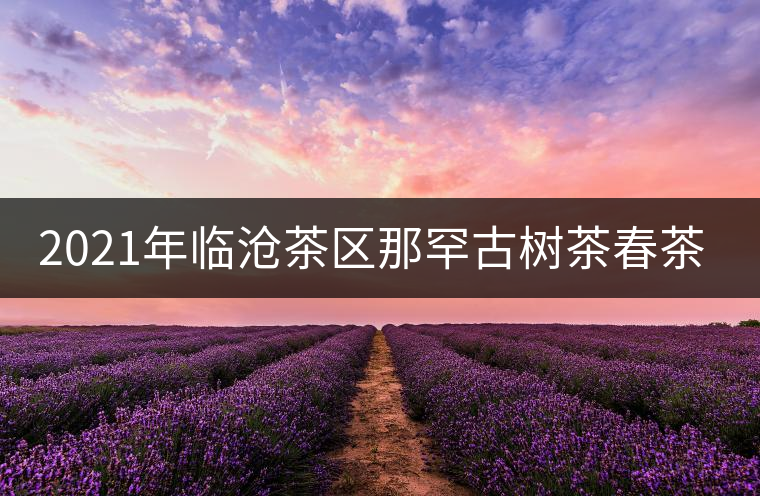 2021年臨滄茶區(qū)那罕古樹茶春茶多少錢一公斤？