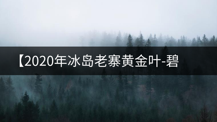 【2020年冰島老寨黃金葉-碧波蕩漾一抹香，輕啜半盞甘若露。