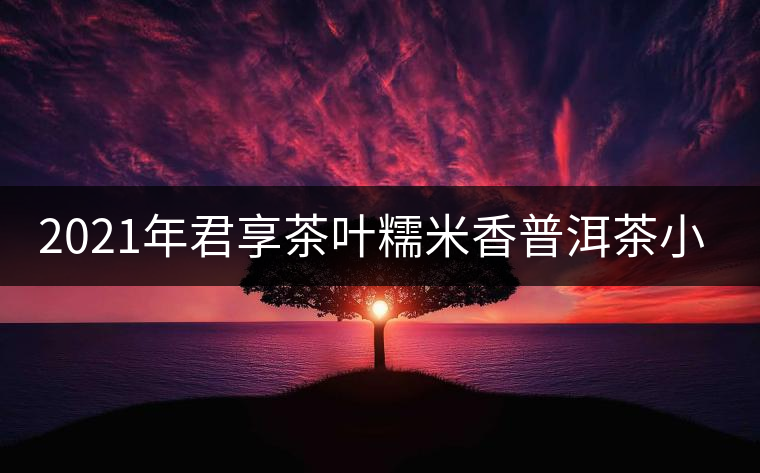 2021年君享茶葉糯米香普洱茶小沱茶餅口感好嗎？