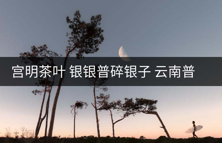 宮明茶葉 銀銀普碎銀子 云南普洱茶熟茶易武古樹糯米香老茶頭好喝嗎？