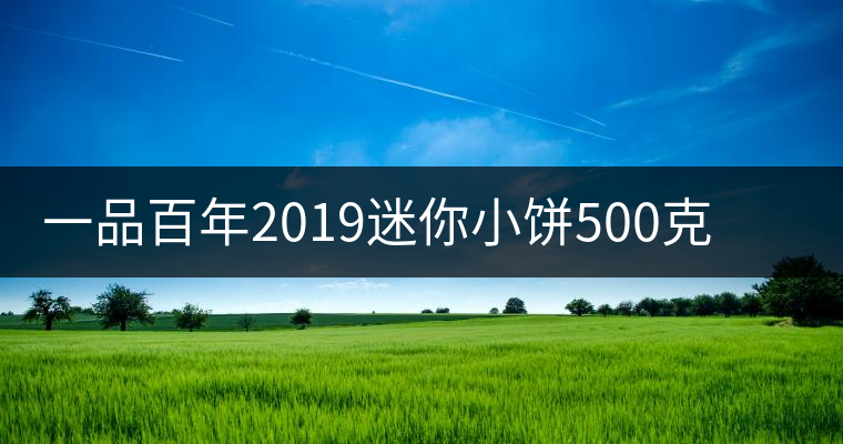 一品百年2019迷你小餅500克古樹生茶品質(zhì)好不好？