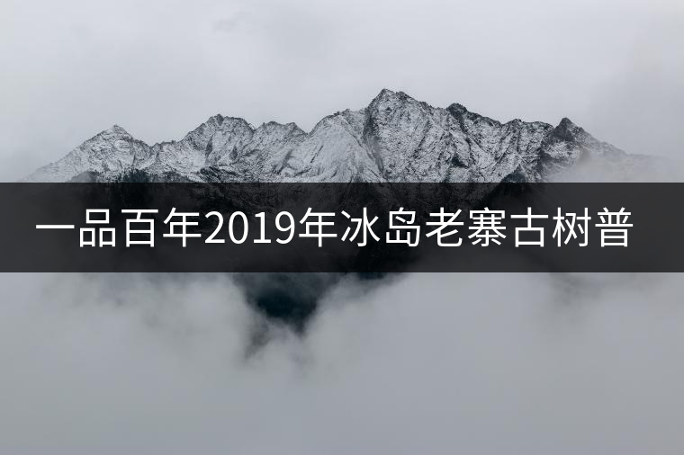 一品百年2019年冰島老寨古樹普洱茶生茶好喝嗎？
