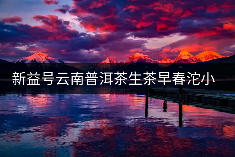 新益號云南普洱茶生茶早春沱小沱茶坨茶滋味如何？