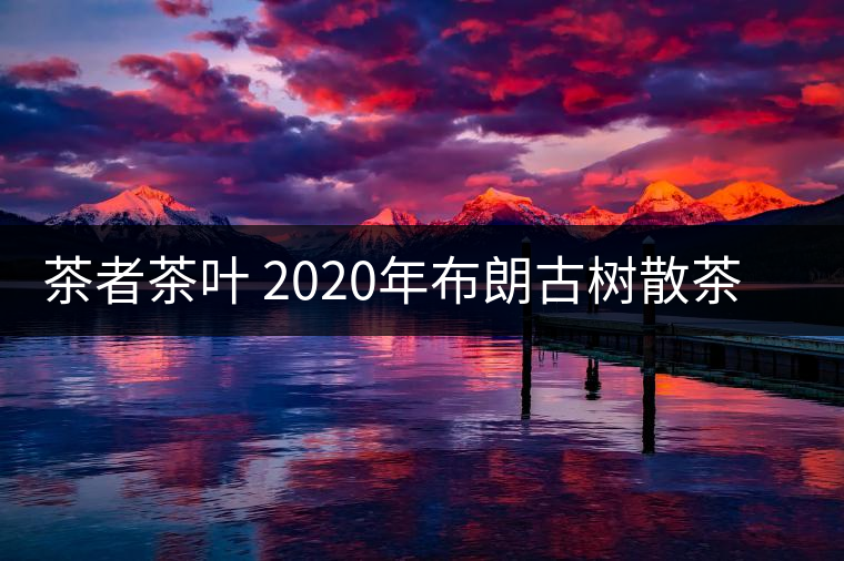 茶者茶葉 2020年布朗古樹散茶  性價(jià)比怎么樣？
