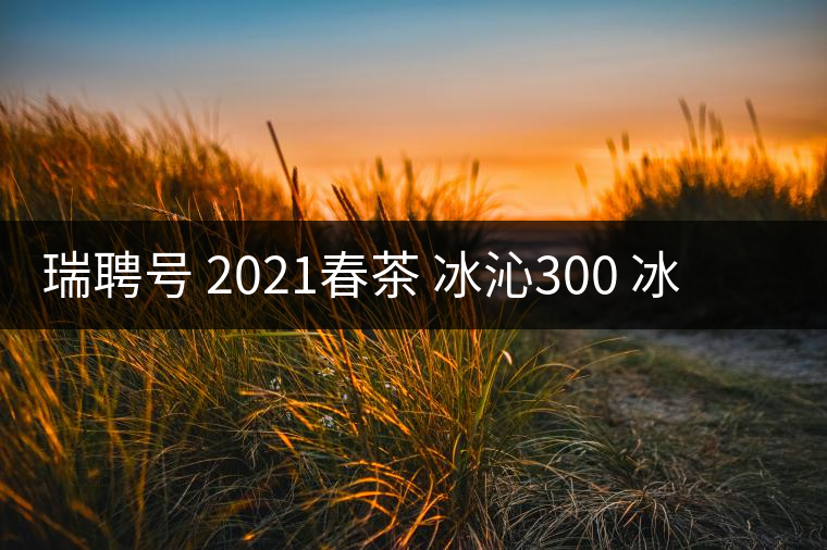 瑞聘號(hào) 2021春茶 冰沁300 冰島頭春古樹(shù)茶好喝嗎？