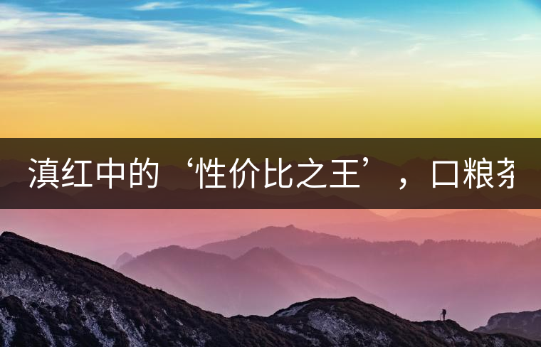 滇紅中的‘性價比之王’，口糧茶首選！