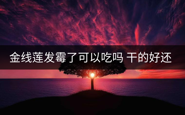 金線蓮發(fā)霉了可以吃嗎 干的好還是濕的好