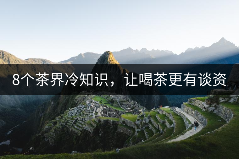 8個(gè)茶界冷知識(shí)，讓喝茶更有談資！