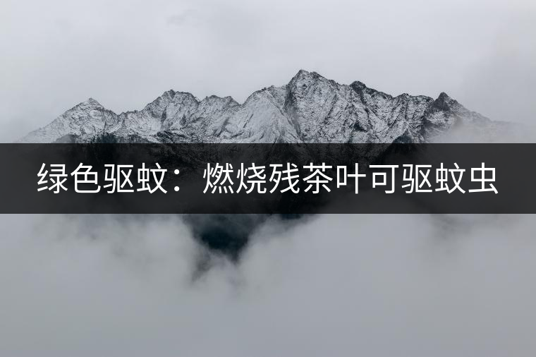 綠色驅(qū)蚊:燃燒殘茶葉可驅(qū)蚊蟲(chóng) 綠色驅(qū)蚊:燃燒殘茶葉可驅(qū)蚊蟲(chóng)