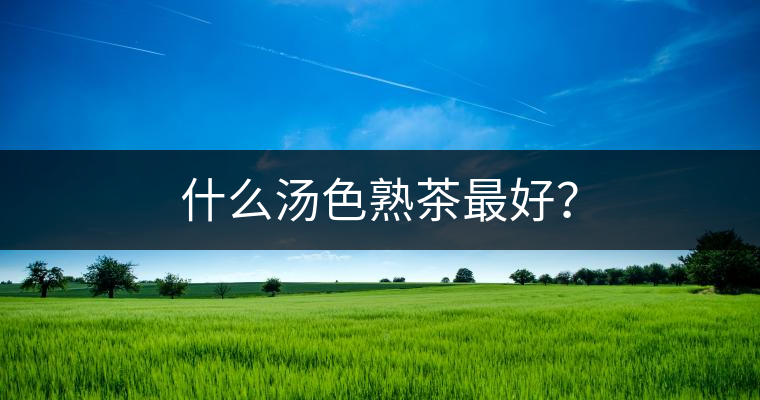 什么湯色熟茶最好？