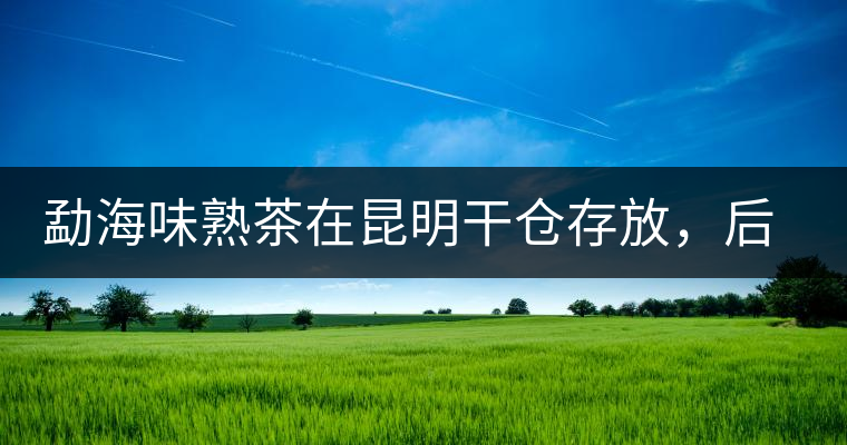 勐海味熟茶在昆明干倉(cāng)存放，后期轉(zhuǎn)化如何呢？