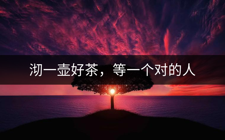 沏一壺好茶，等一個(gè)對(duì)的人