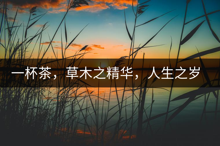 一杯茶，草木之精華，人生之歲月