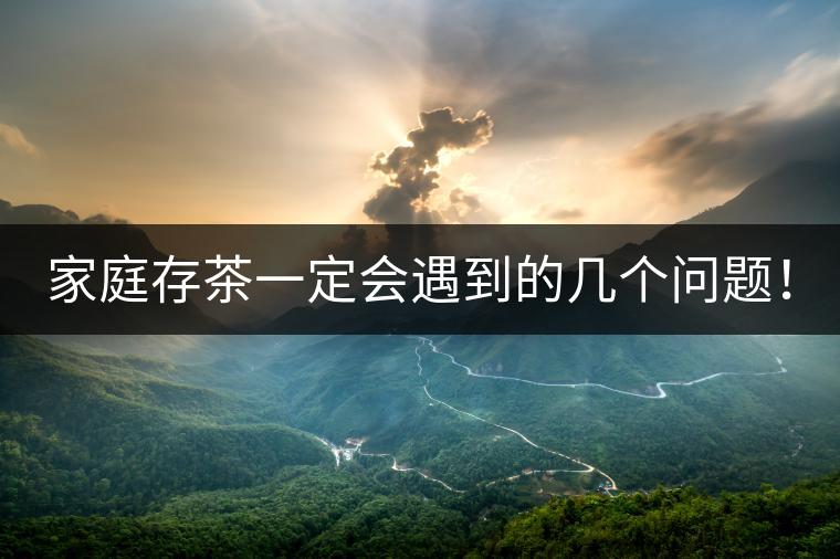 家庭存茶一定會(huì)遇到的幾個(gè)問(wèn)題！