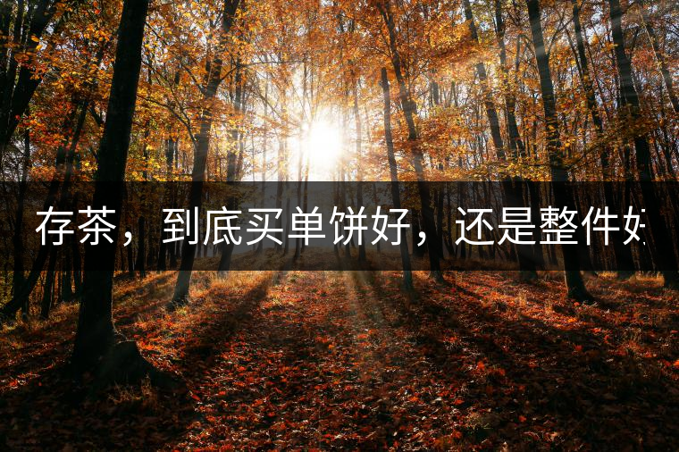 存茶，到底買單餅好，還是整件好？