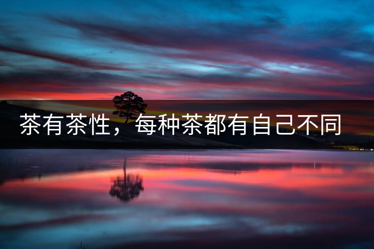 茶有茶性，每種茶都有自己不同的正確泡法