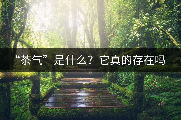“茶氣”是什么？它真的存在嗎？
