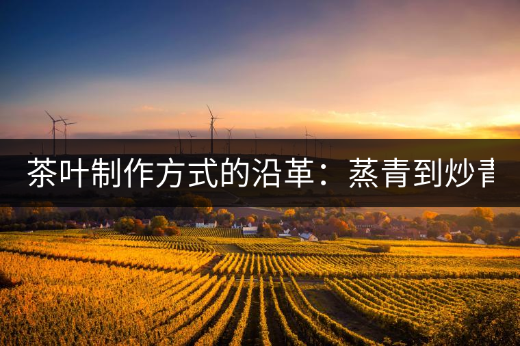茶葉制作方式的沿革：蒸青到炒青！