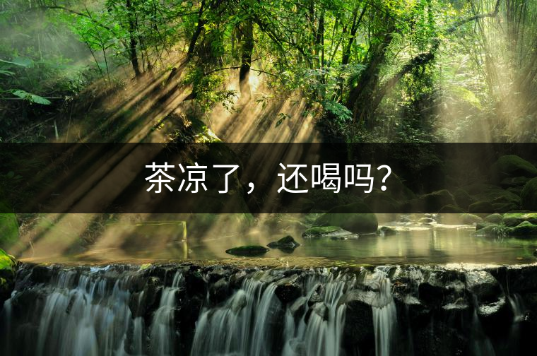 茶涼了，還喝嗎？
