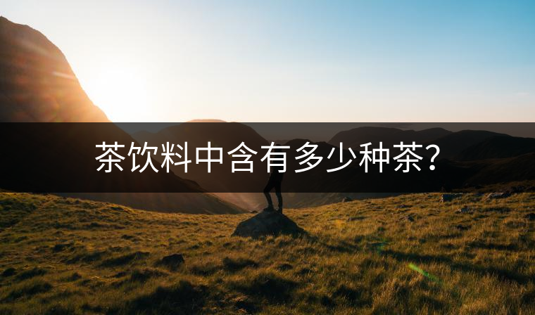 茶飲料中含有多少種茶？