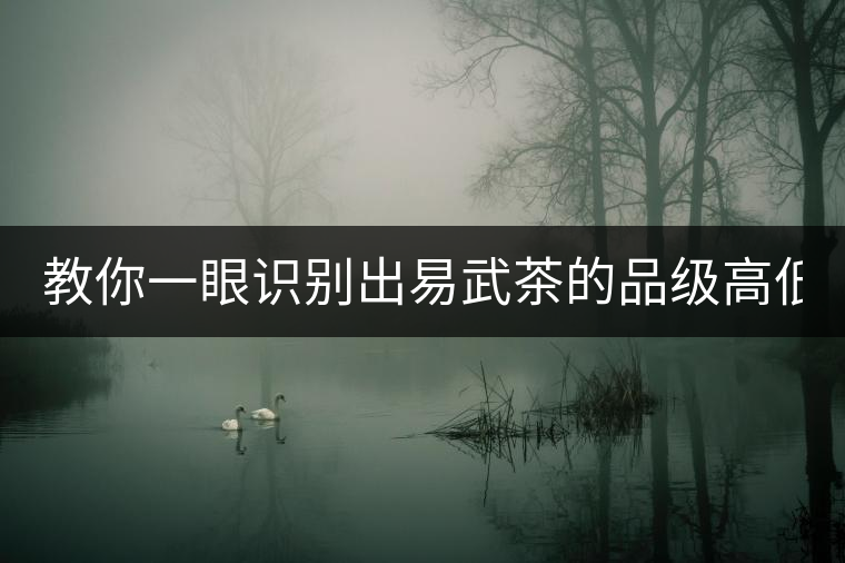 教你一眼識別出易武茶的品級高低！