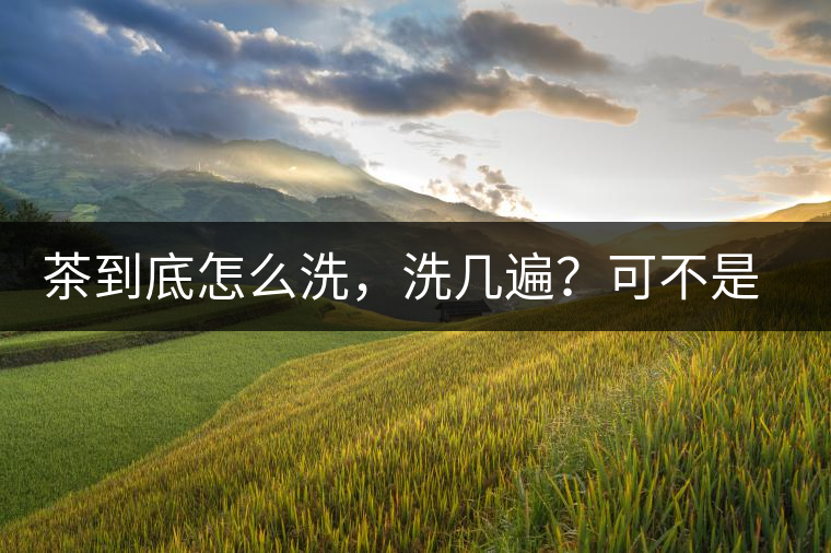 茶到底怎么洗，洗幾遍？可不是倒水進(jìn)去這么簡(jiǎn)單喲