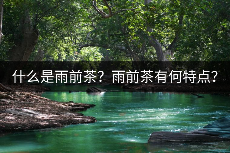 什么是雨前茶？雨前茶有何特點？